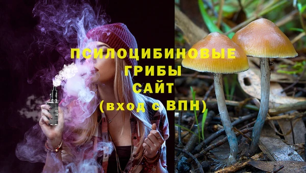 герыч Вязьма