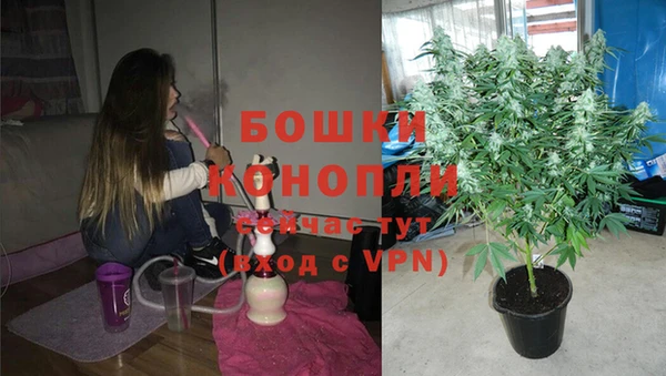 бошки Вяземский
