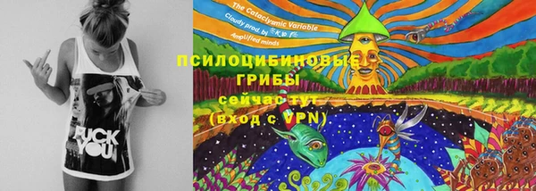 бошки Вяземский